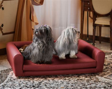 prodotti di lusso per animali di compagnia|Accessori di lusso per cani e animali domestici .